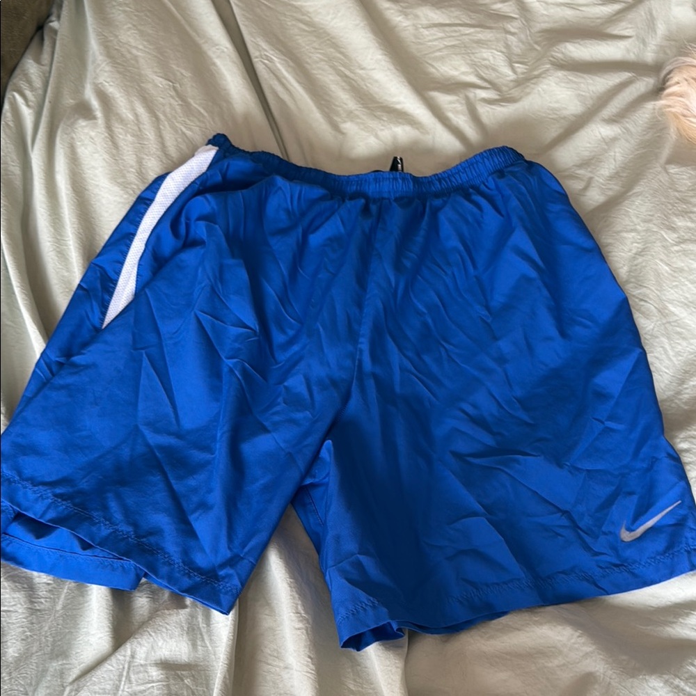 Nike Men's Royal Blue Athletic Shorts